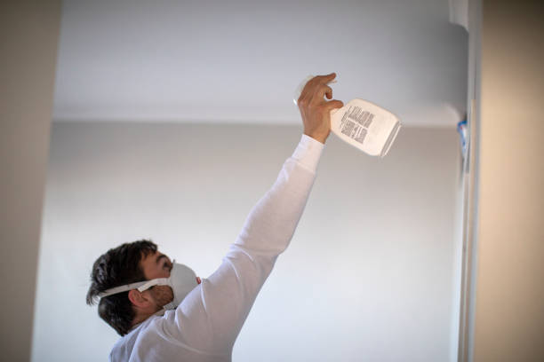 Best Post-Remediation Services in Saunders Lake, OR
