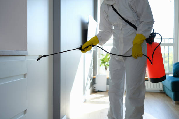 Best Mold Remediation for Specific Building Types in Saunders Lake, OR