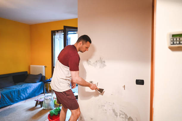 Best Industrial Mold Remediation in Saunders Lake, OR